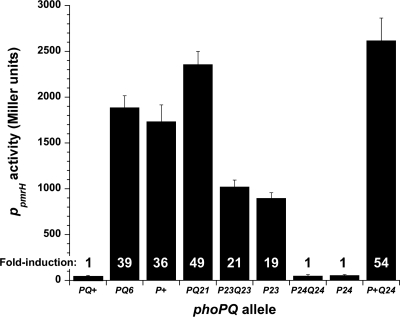 Fig. 3.