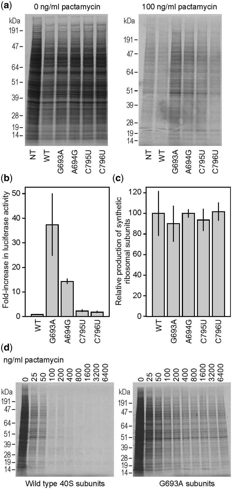 Figure 4.