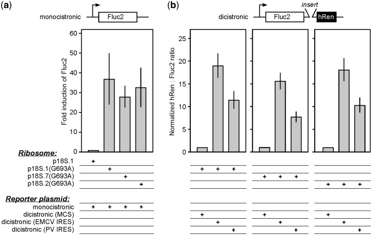 Figure 6.