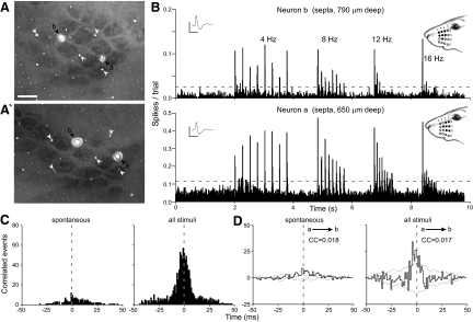 FIG. 6.