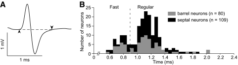 FIG. 1.