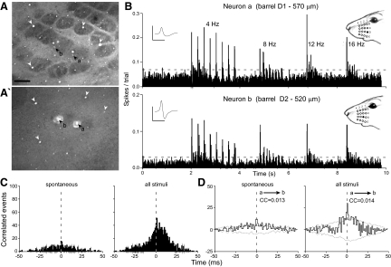 FIG. 4.