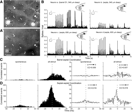 FIG. 7.