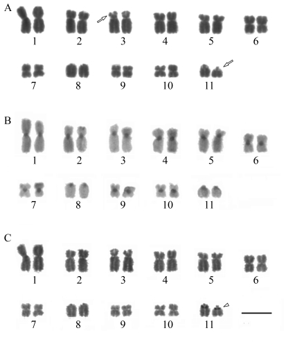 Figure 2