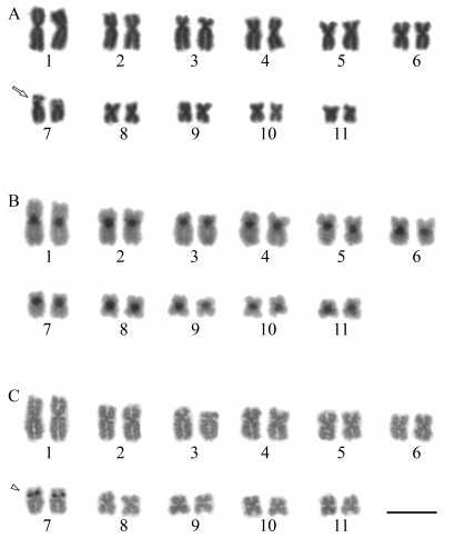 Figure 5