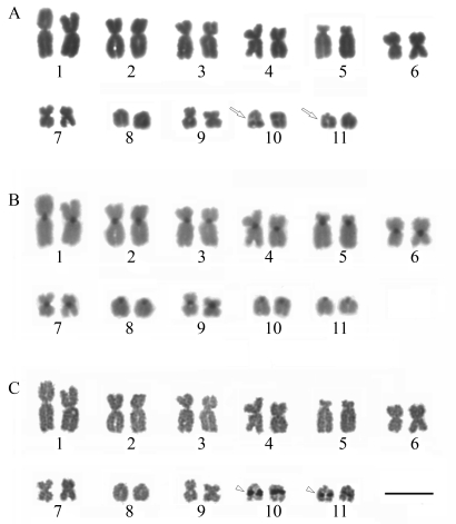 Figure 4