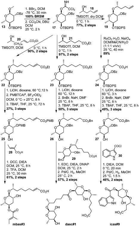 Scheme 2