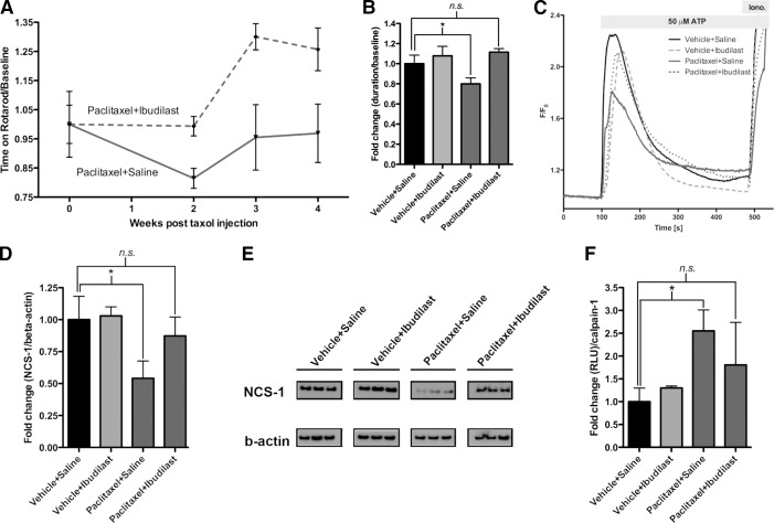 Figure 5.