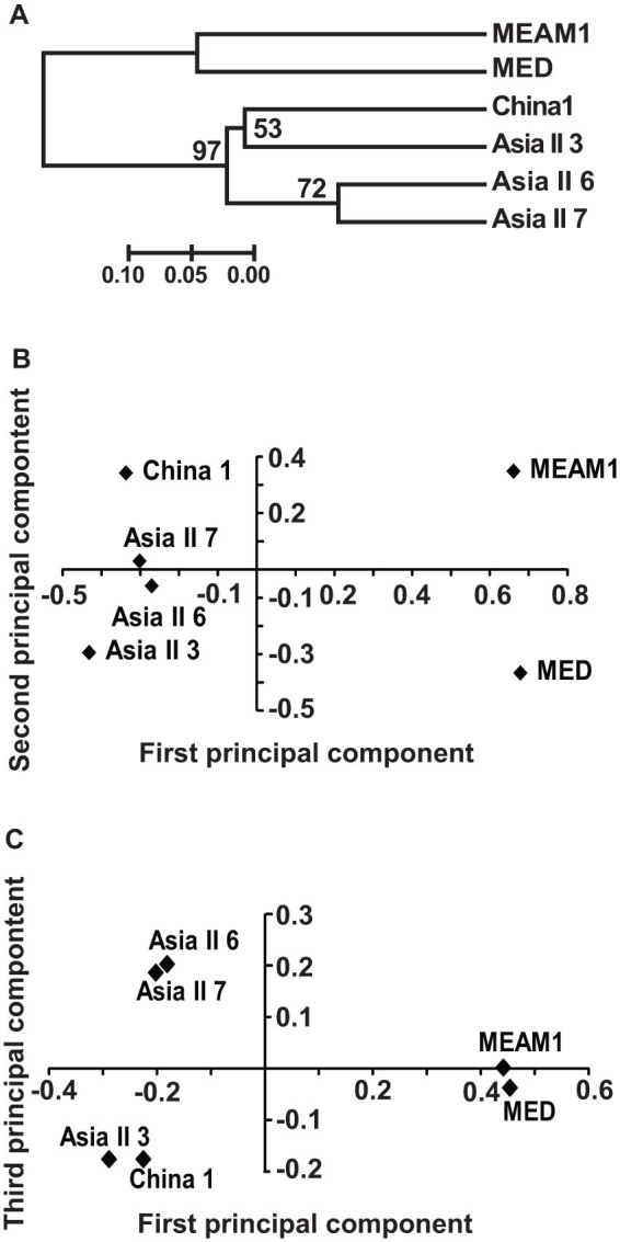 Figure 6