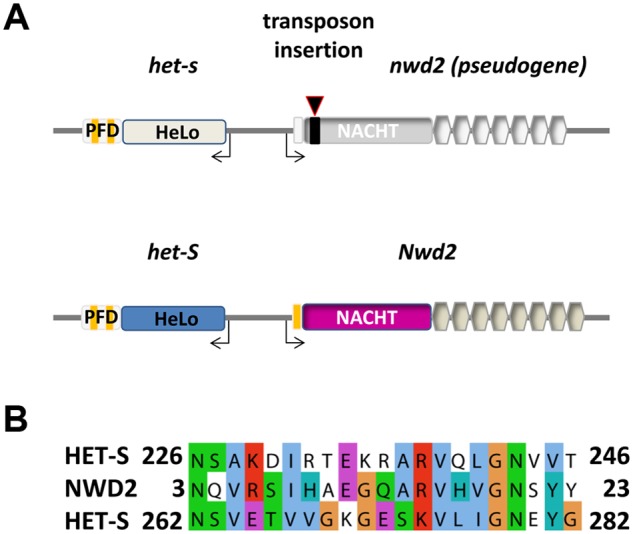 Fig 1