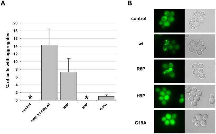 Fig 4