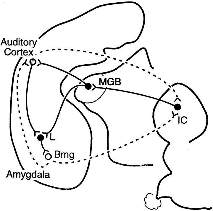 Fig. 9.