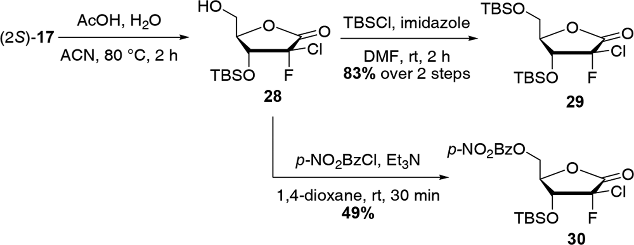 Scheme 6.