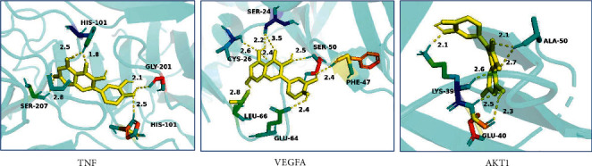 Figure 6