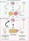 Figure 5: