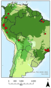 This map presents the confirmed human cases of yellow fever in the Americas Region in 2025, with red dots indicating specific locations. The size of each dot represents the number of cases in that area, scaled relative to the total case count across the region.
