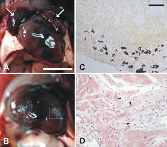 Fig. 3