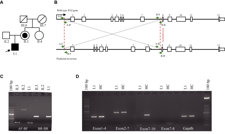 Fig 2