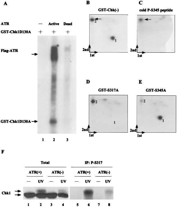 FIG. 8