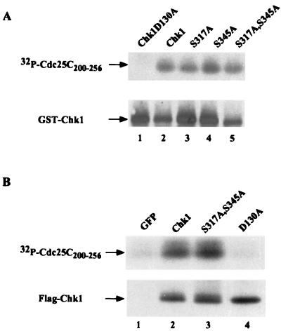 FIG. 7