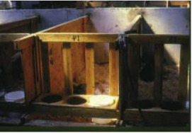 C-06: