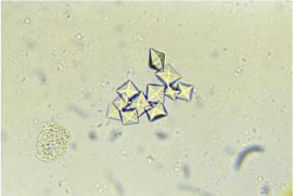 C-05: