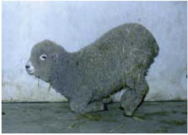 C-04: