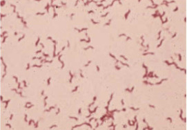 C-08: