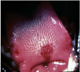 C-07: