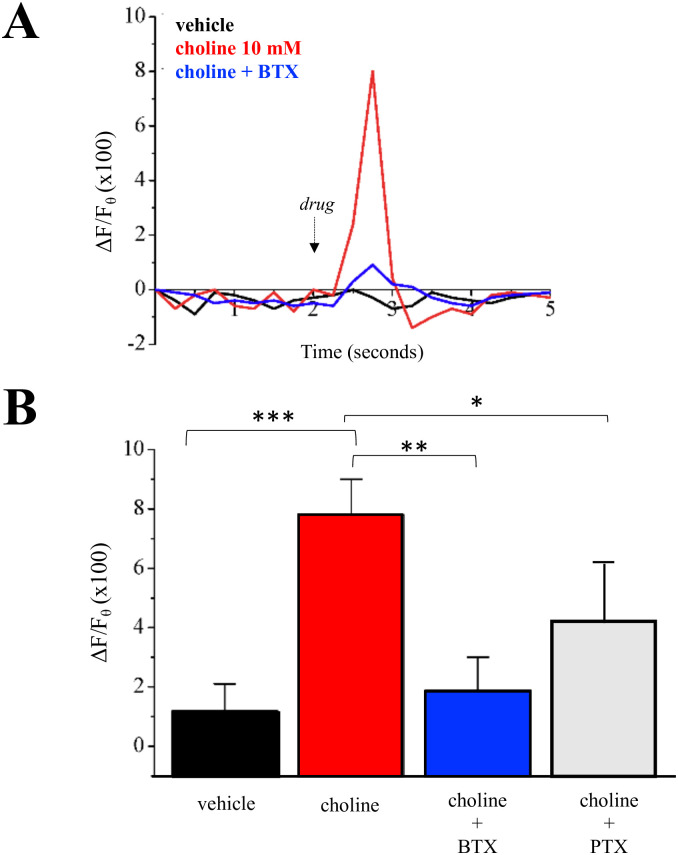 Fig 5