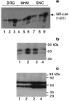 Fig. 10.