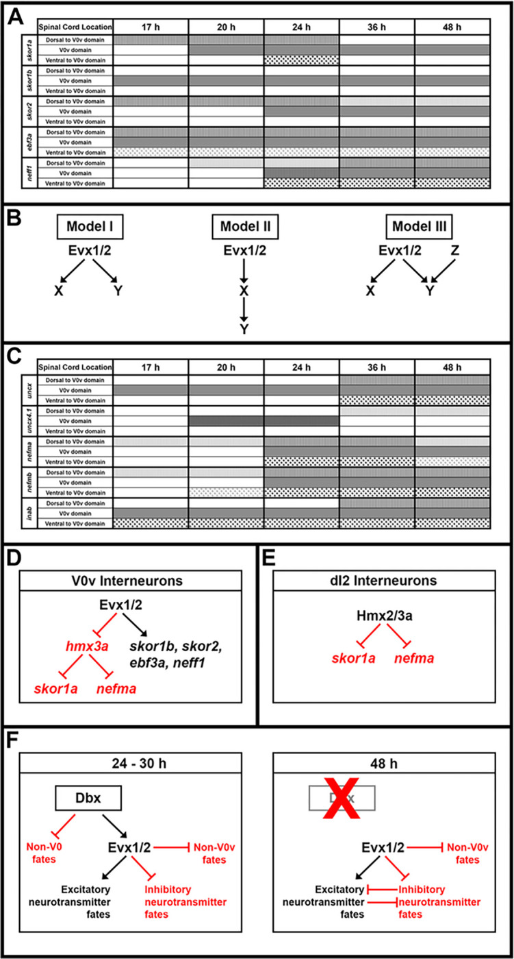 Figure 13