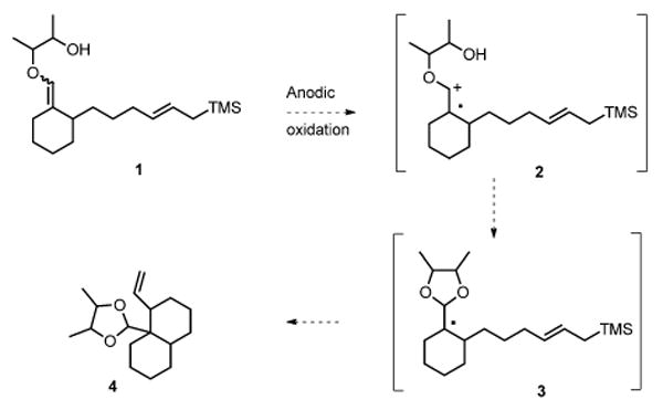 Scheme 2