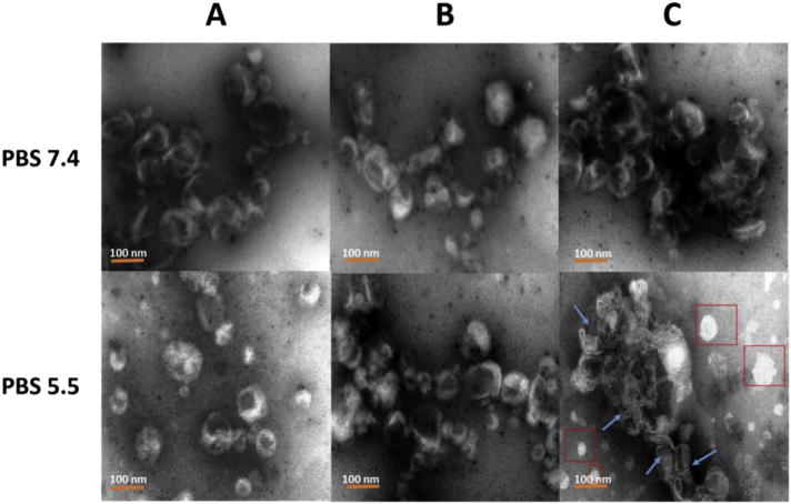 Fig. 5