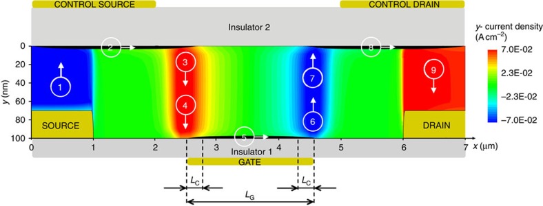 Figure 6