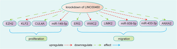 FIGURE 9