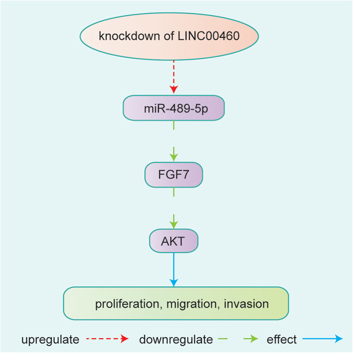 FIGURE 6