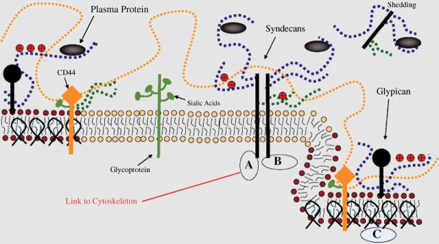 Figure 2