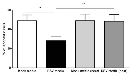 Fig. (9)