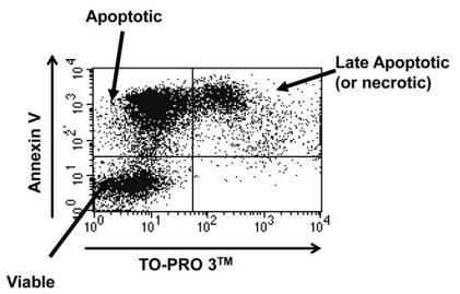 Fig. (2)