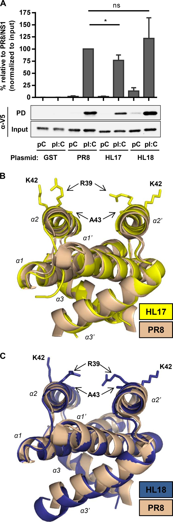 FIG 2