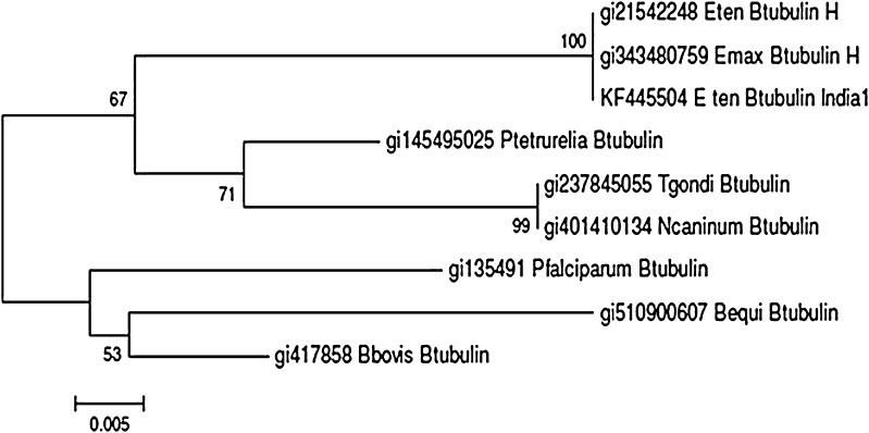 Fig. 5