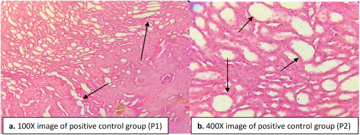 Fig. 10