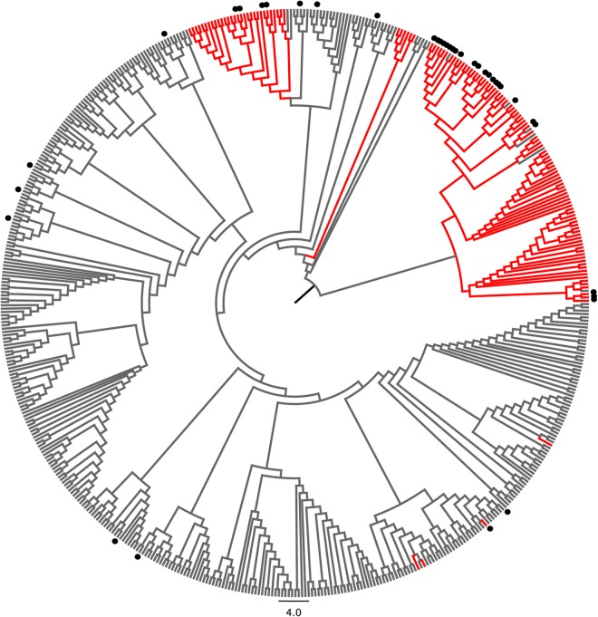 FIG 6