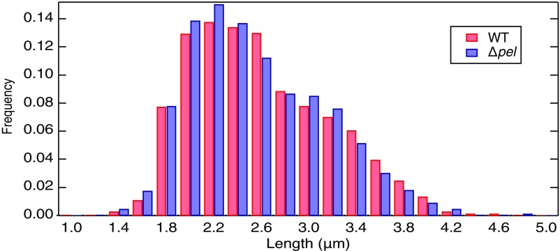 Fig. S9.