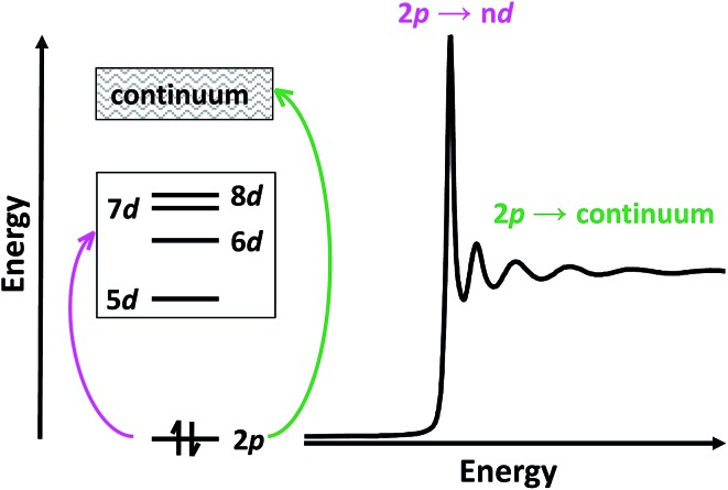 Scheme 2