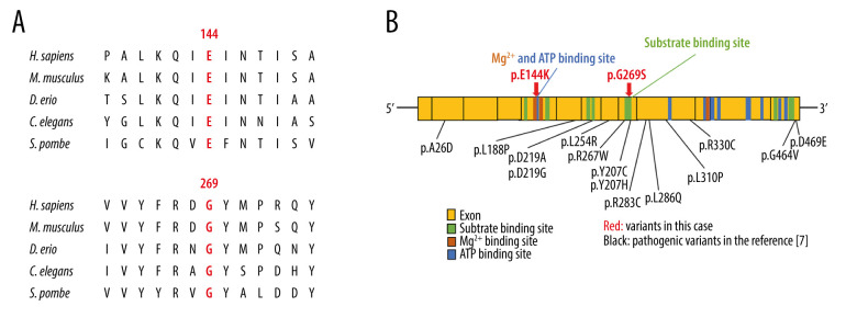 Figure 4.