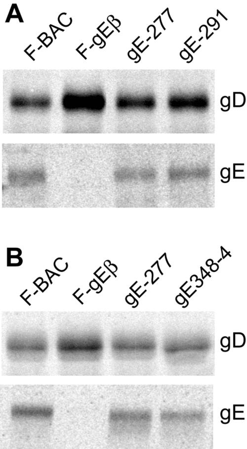 FIG. 6.