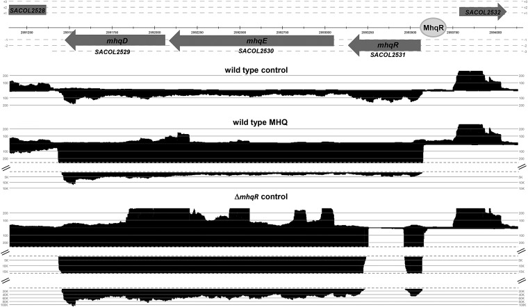 FIG. 3.