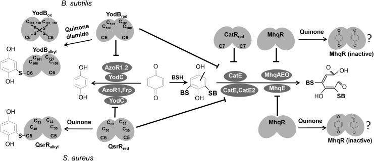 FIG. 10.